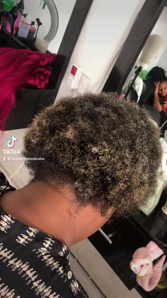@Braidsbyevabube