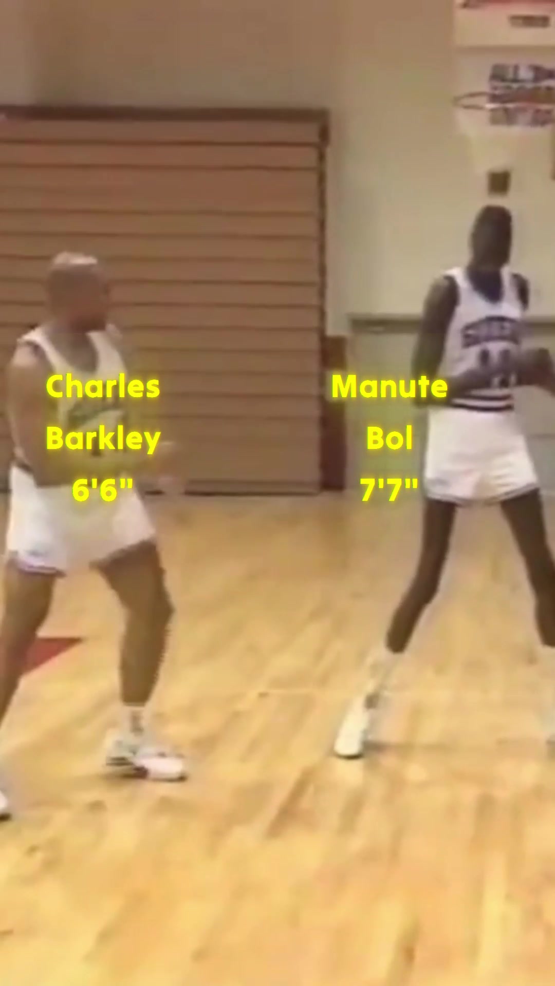 @TheAthletePerspective