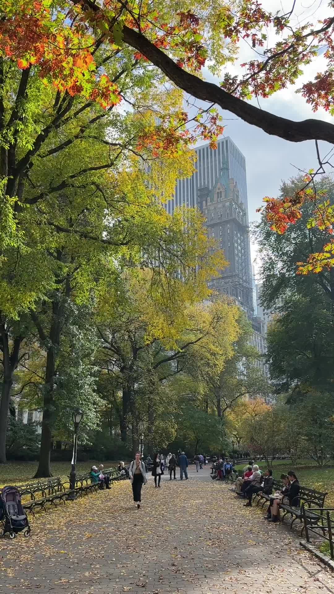 @NYC live