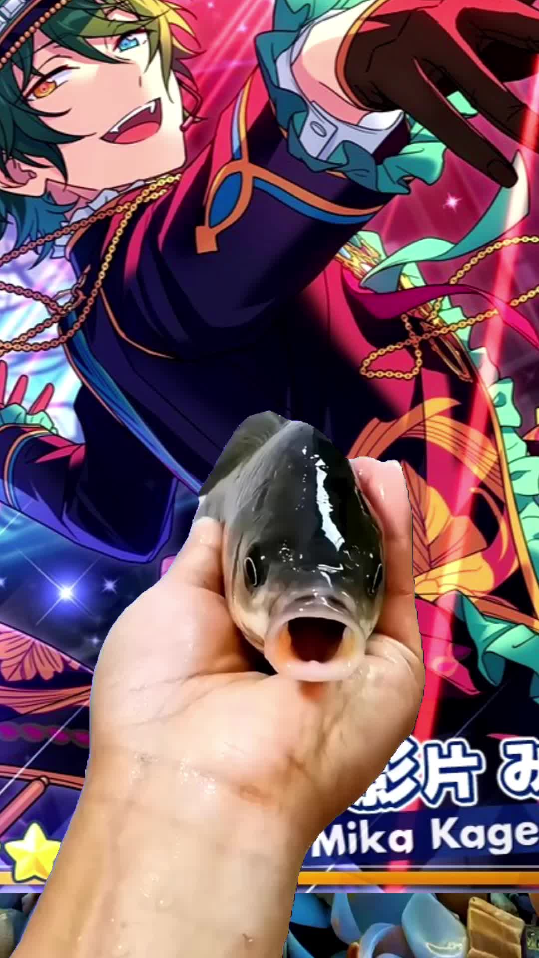 @🫧