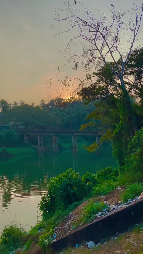 @മൊട്ടബോസ്സ്