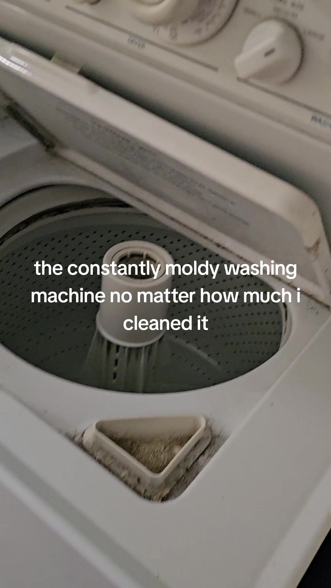 @tiny box tism