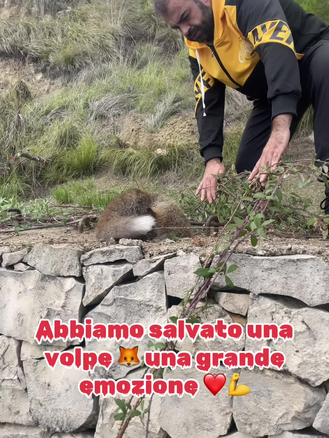 @Cavallo Noemi