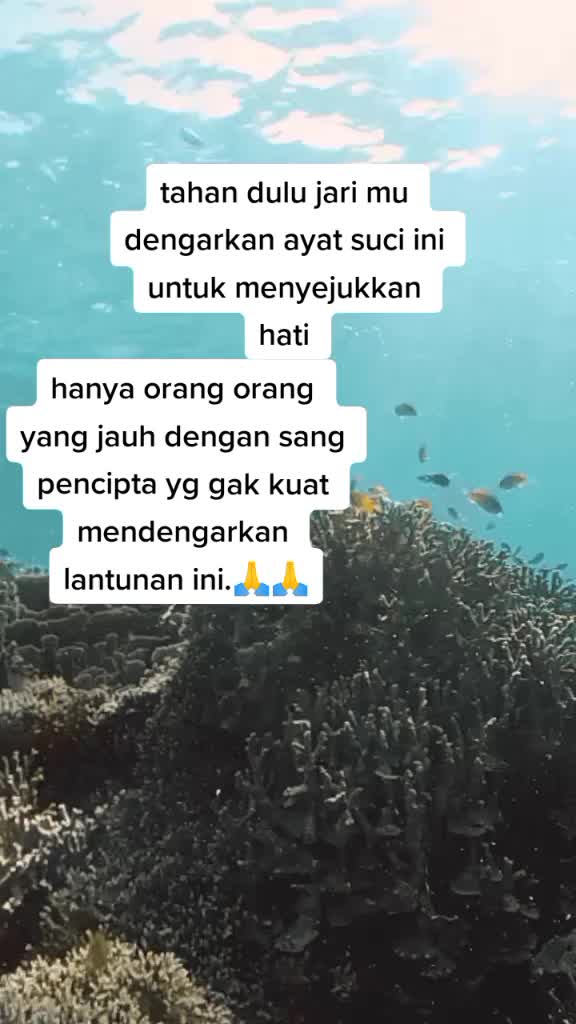@Fauzi