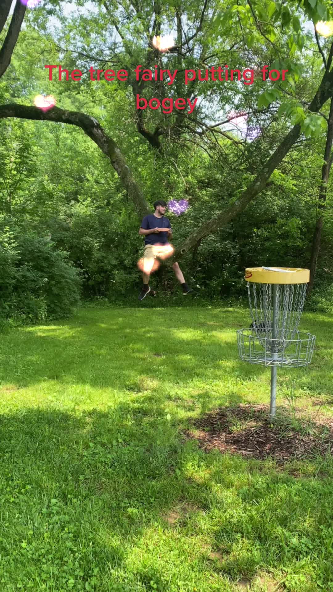 @The lefty disc golfer