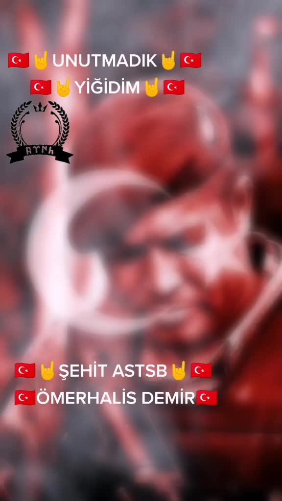@cCc🇹🇷BOZKURT🇹🇷cCc