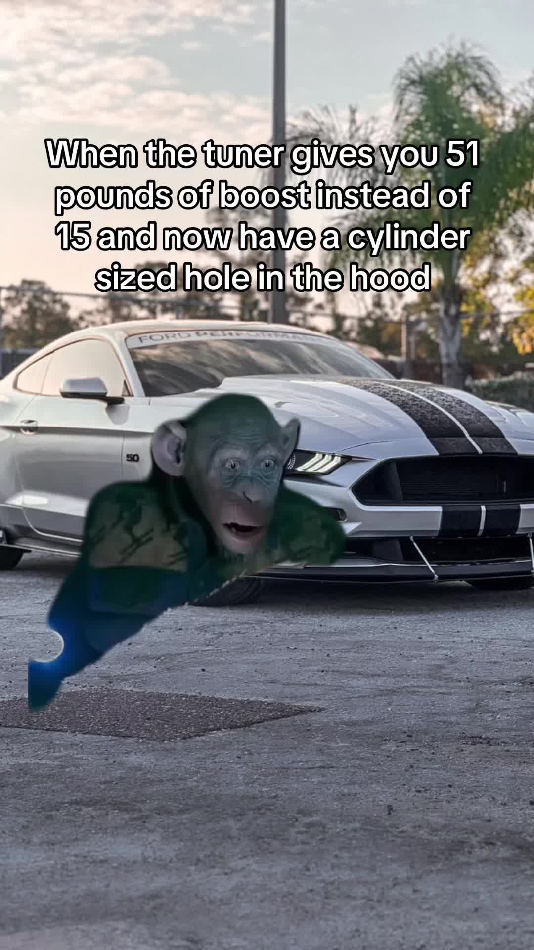 @BrandonBiglin