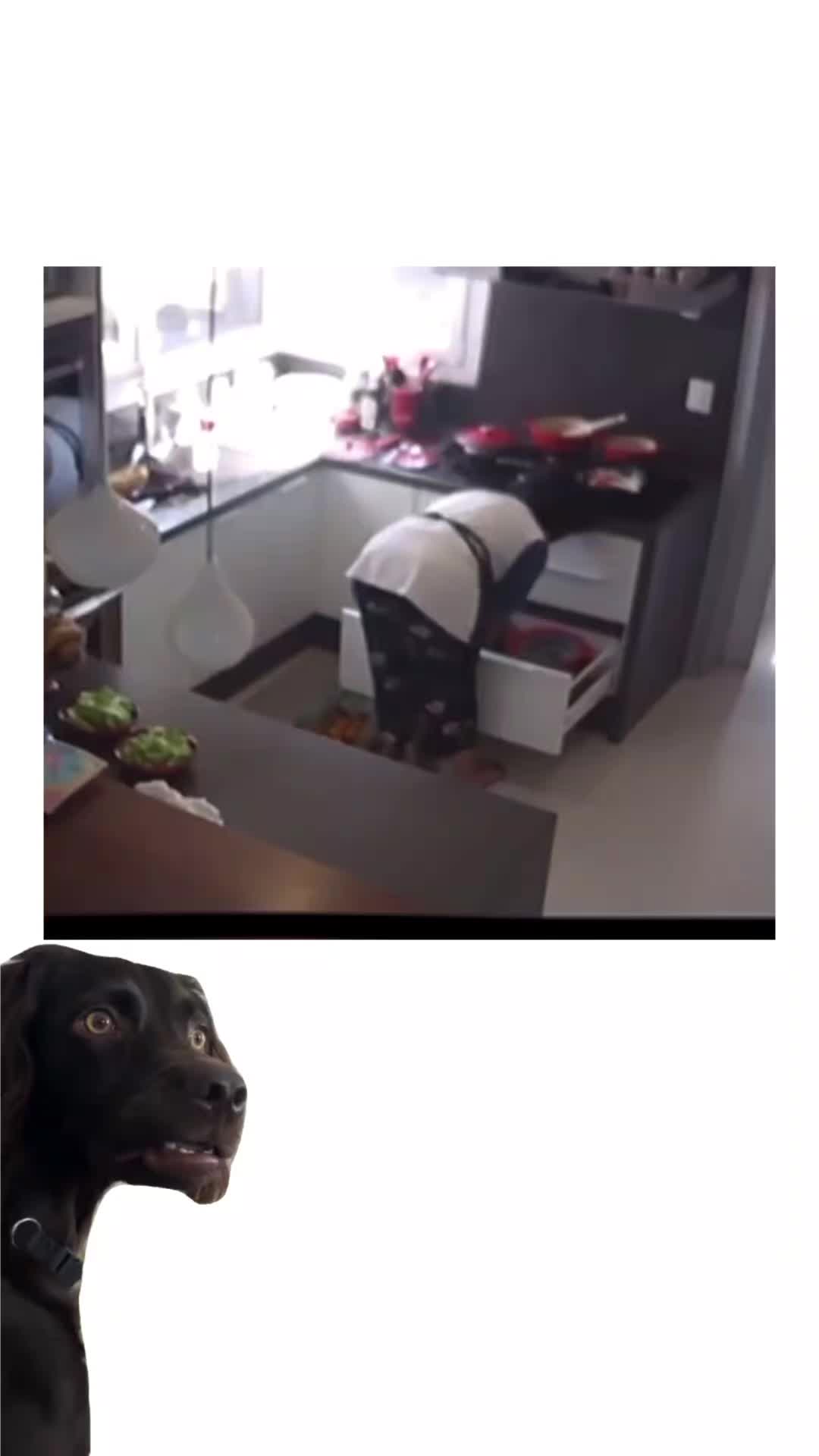 @Chillszone🤣