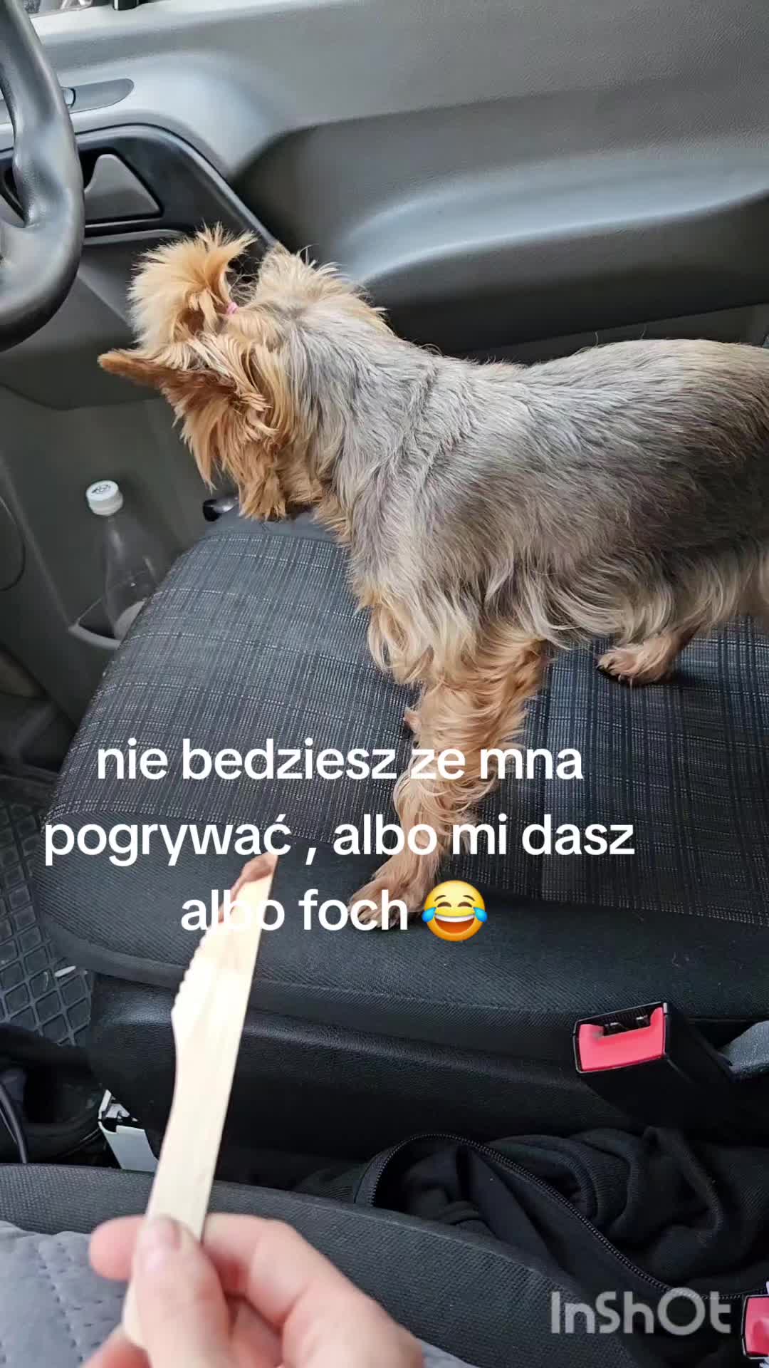 @Ewelina Bednarska