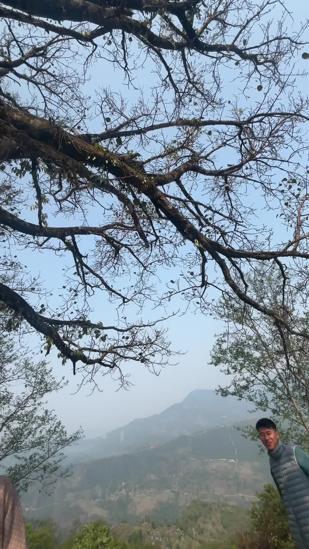 @KabirTamang03