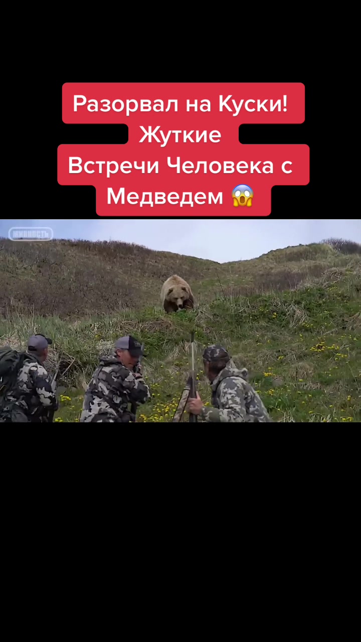 @Живность