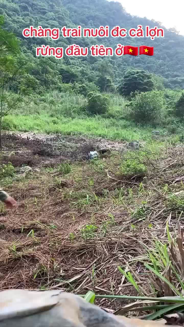 @PhamTrungKienLC✅✅✅