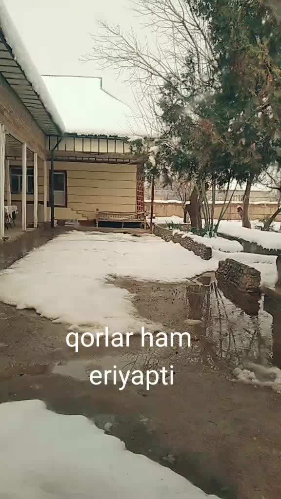 @suhrob vorzakon@@