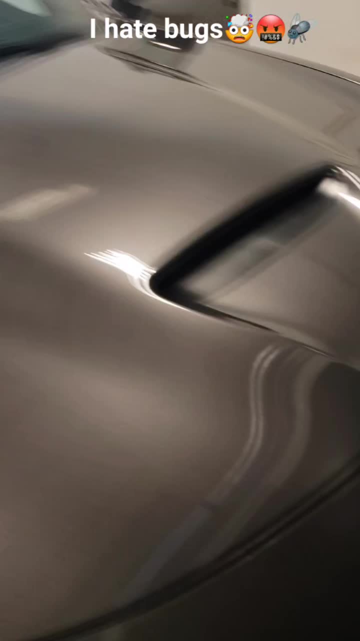 @StickyBizWindowTint