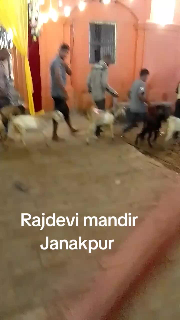 @Samiral🇳🇵