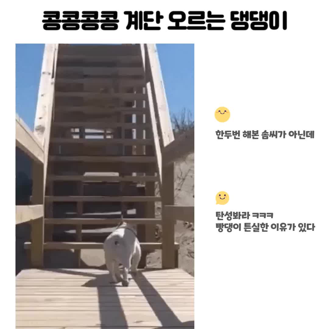 @오구망구