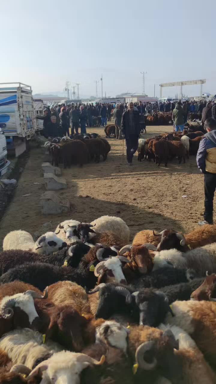 @Emrah Karapınar