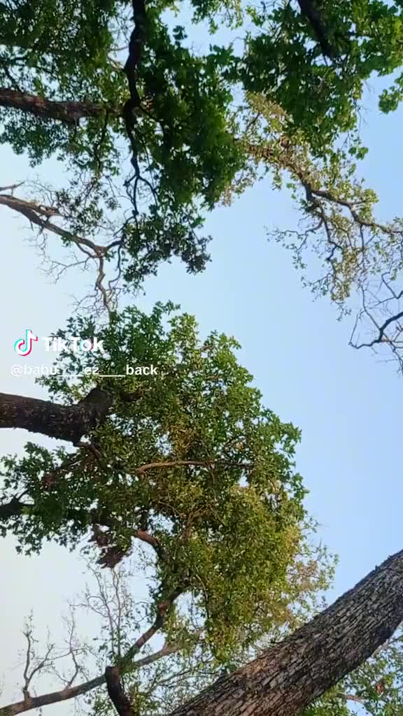 @hariomrana942Dj