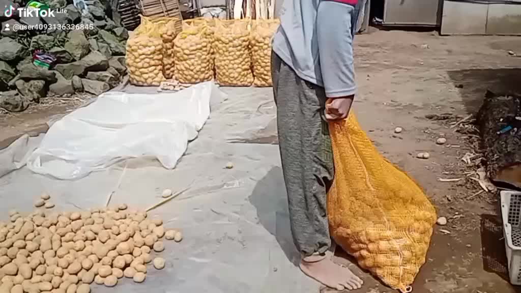 @akbar