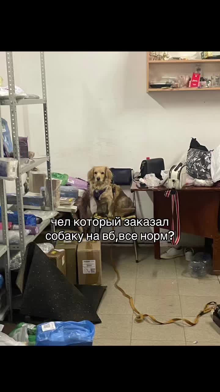 @malinovskaya357