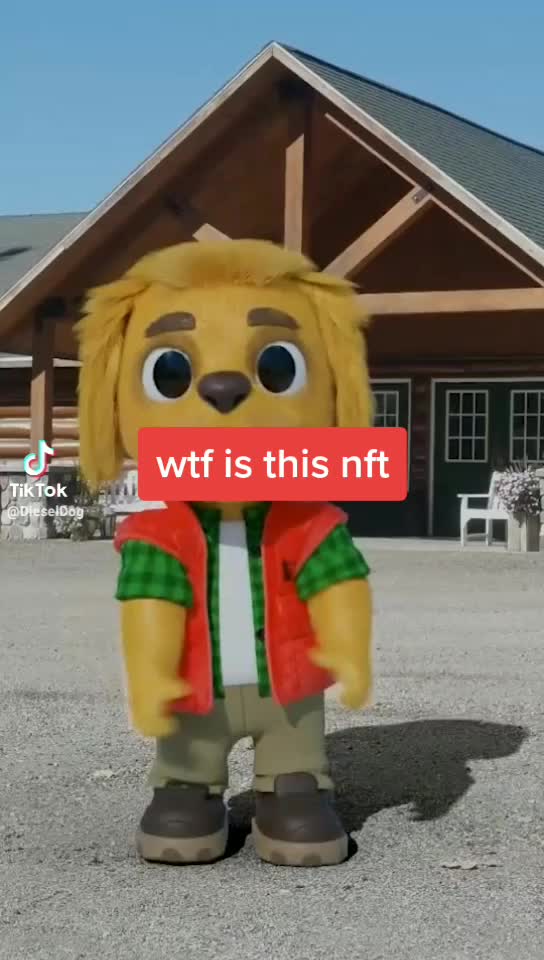 @DJ Cat