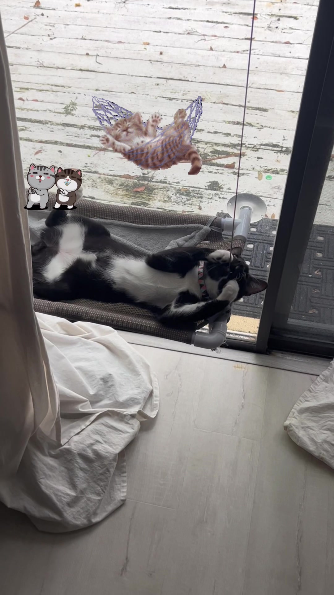 @Ryugyu Cat
