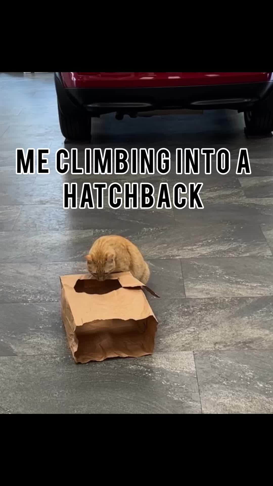 @MidwestMediocre