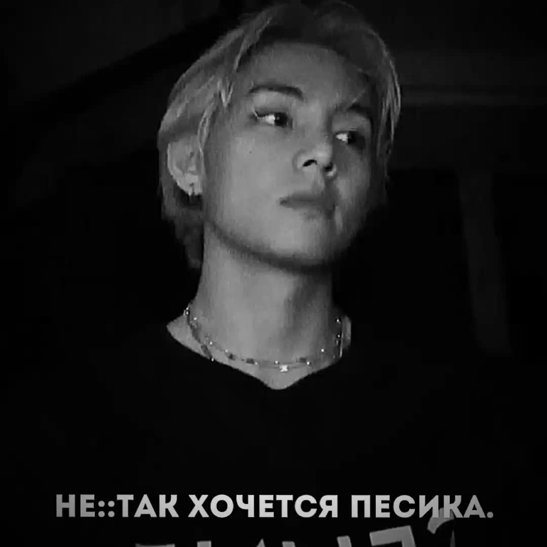 @&ndash;котенок.