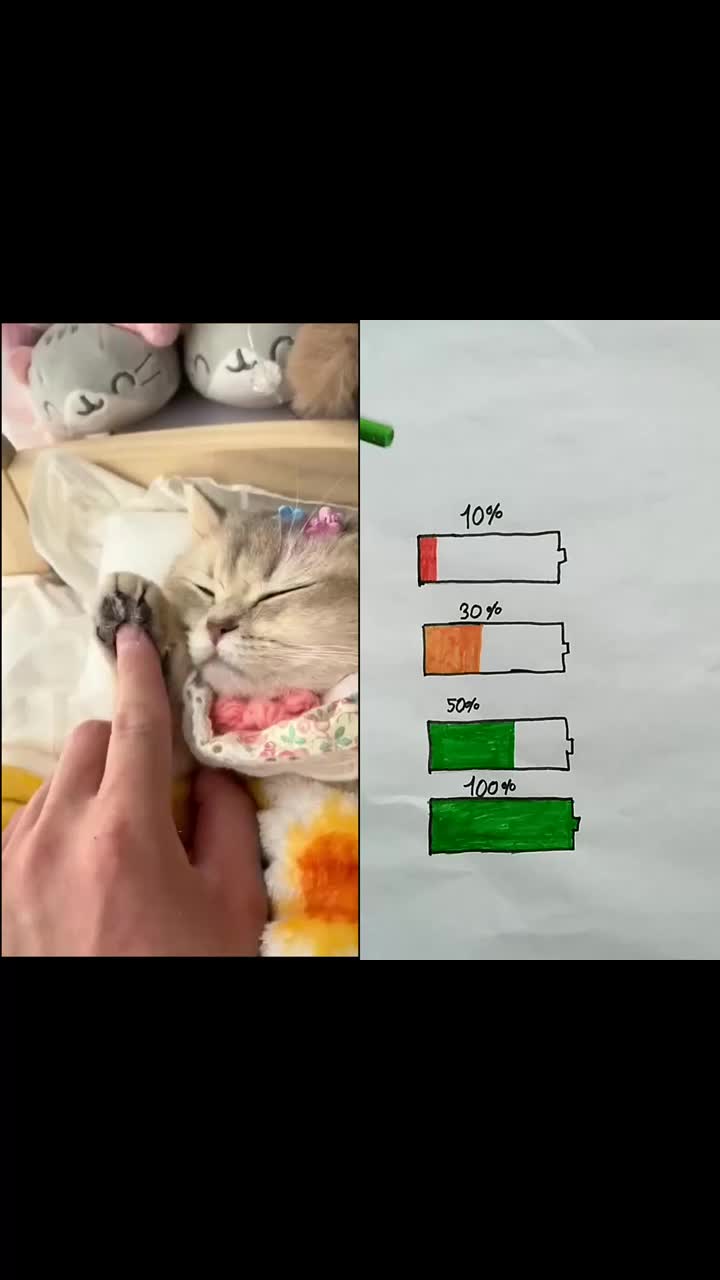 @MAX53573