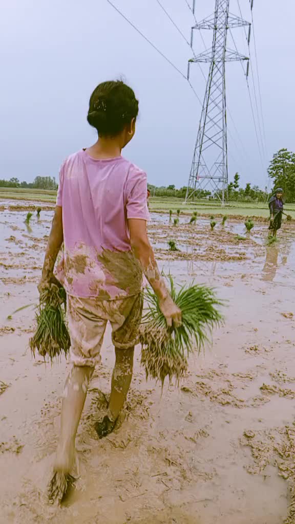 @Hema Sapkota