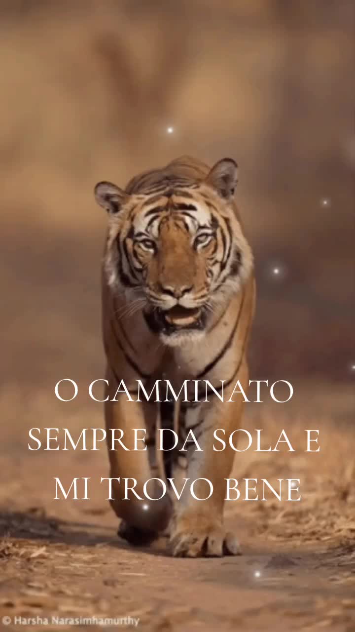 @gloria