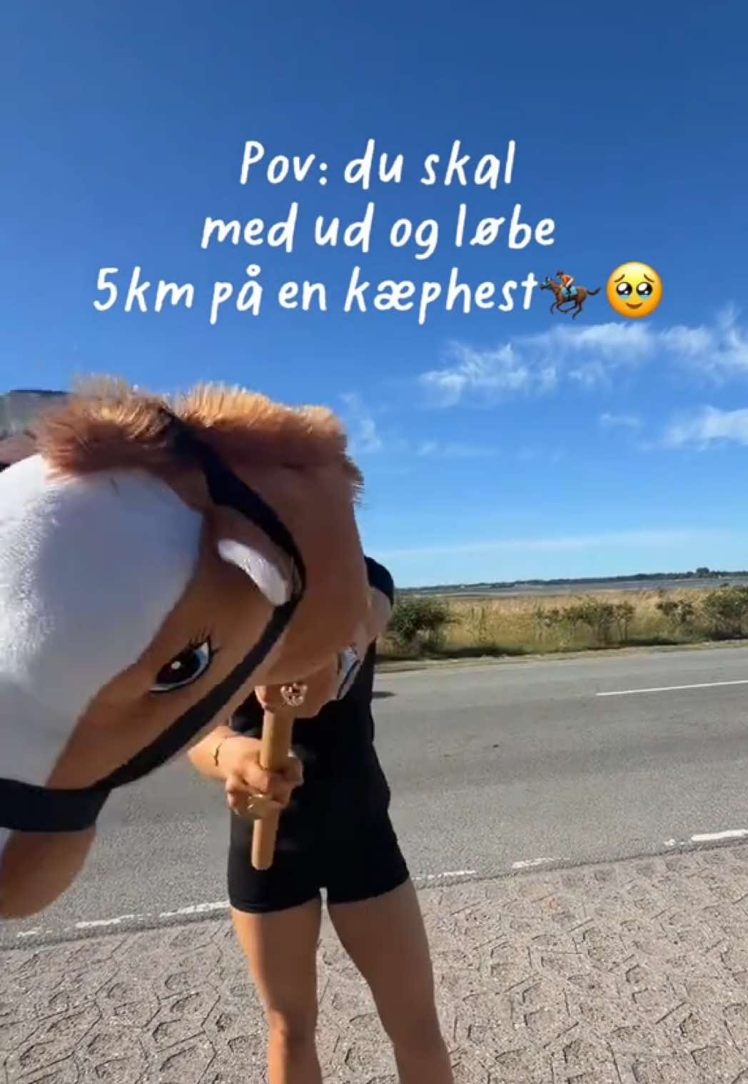 @lidtafdethele