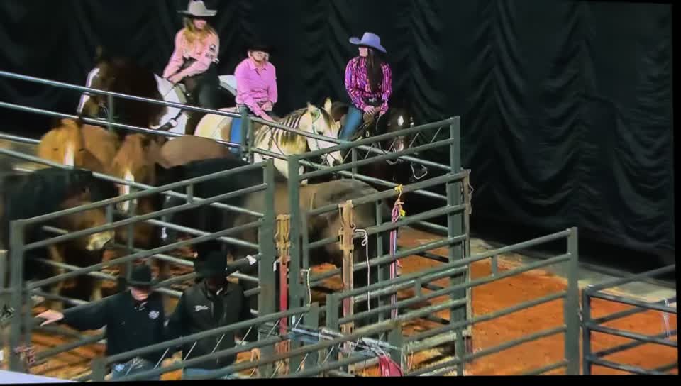 @KY Performance Horses