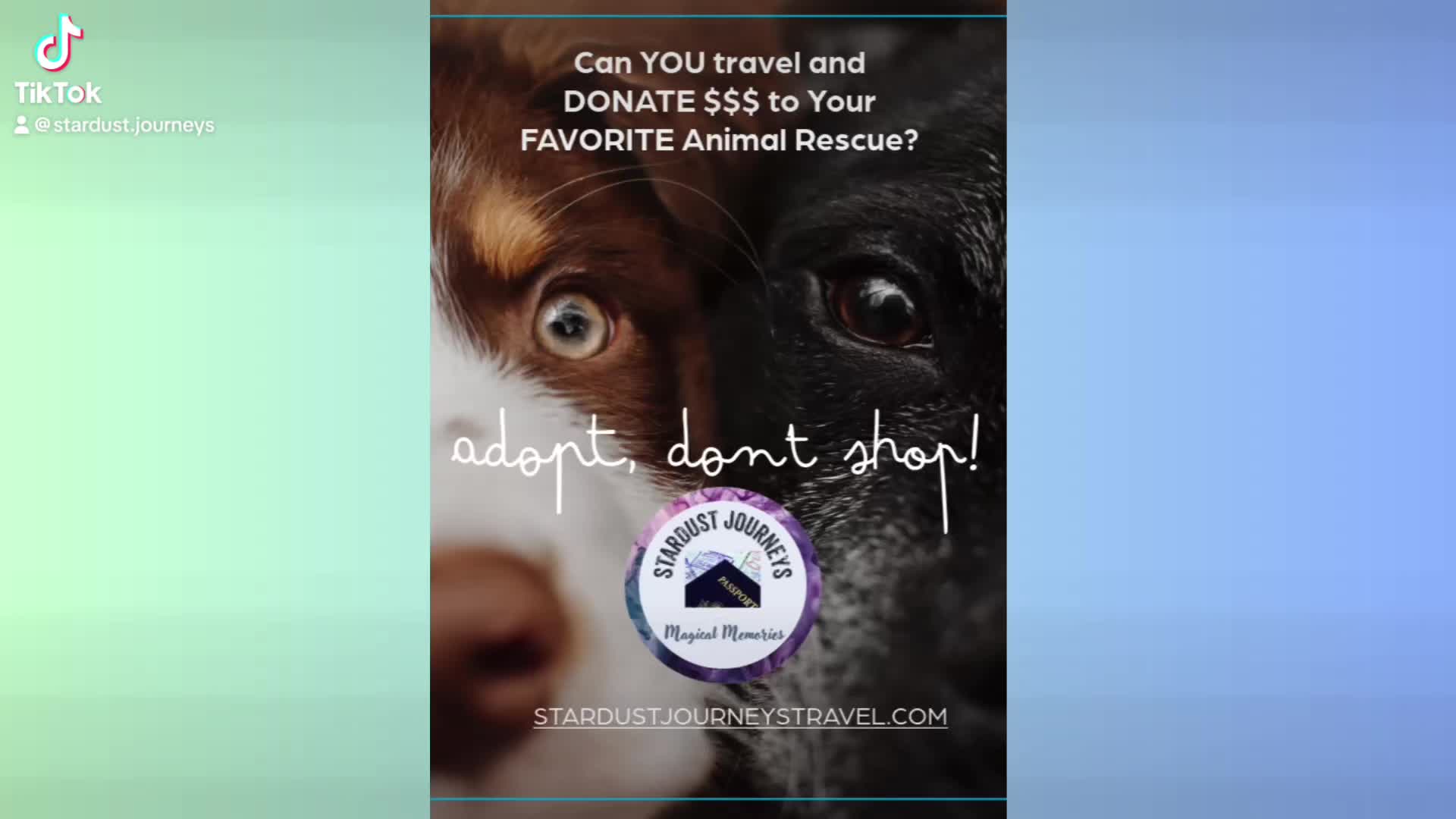 @Paws From Afar Rescue