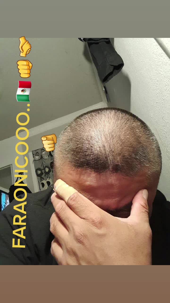 @faraonico