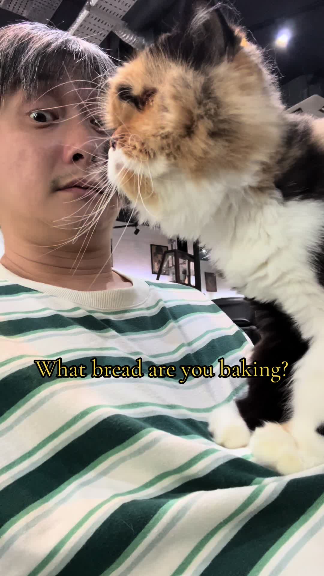 @kencheong8