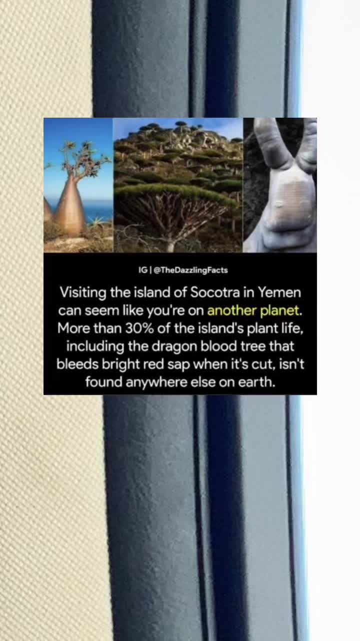 @coolfacts