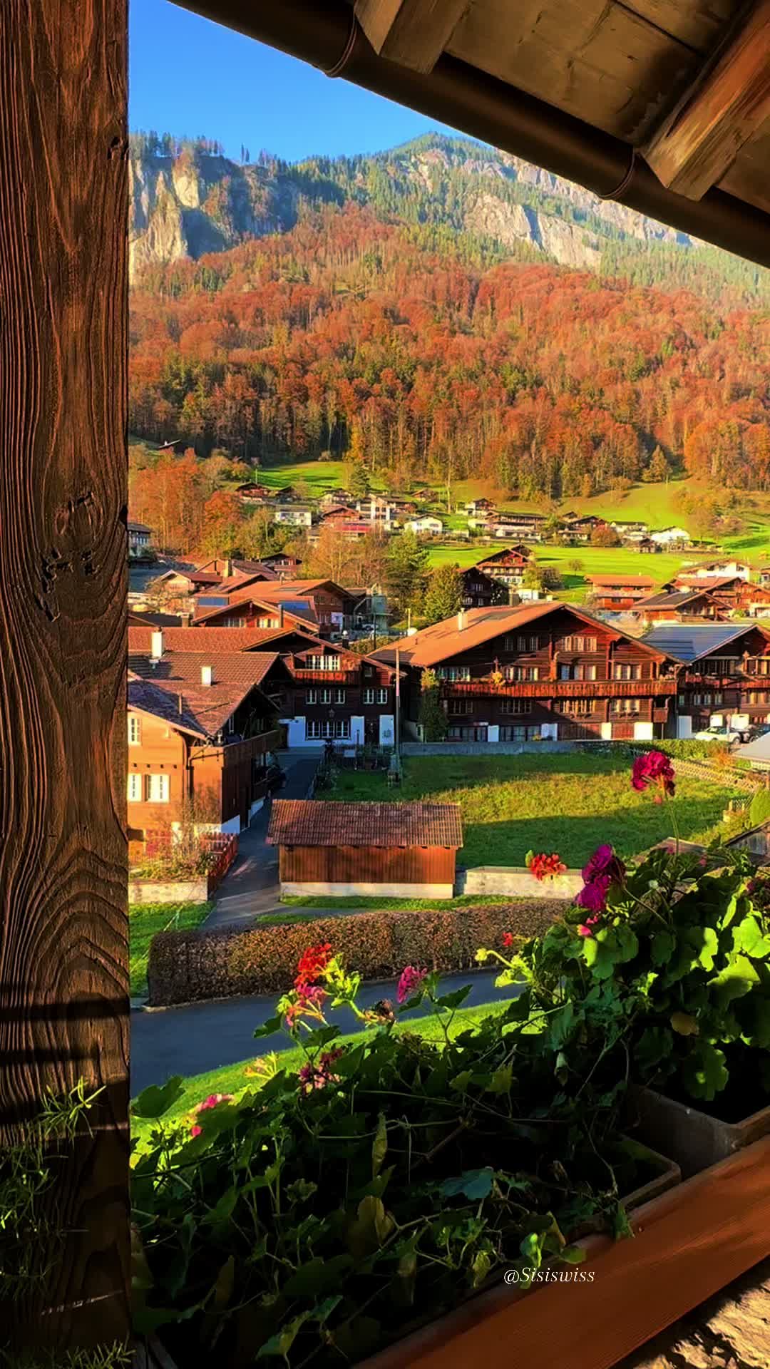 @Sisiswiss