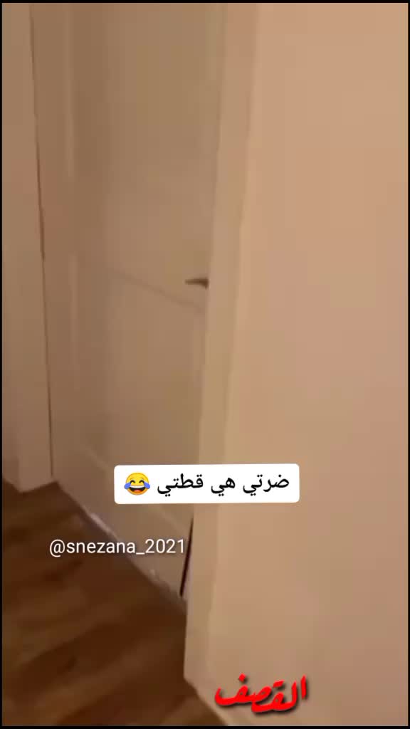 @snezana
