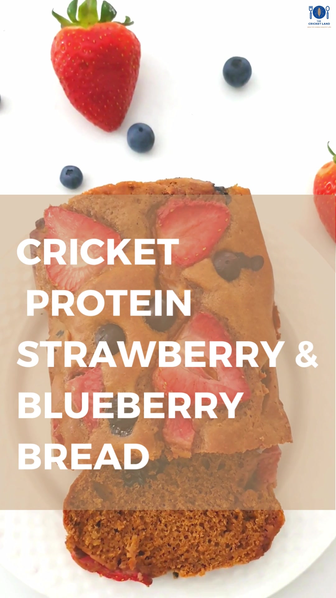 @proteincricket