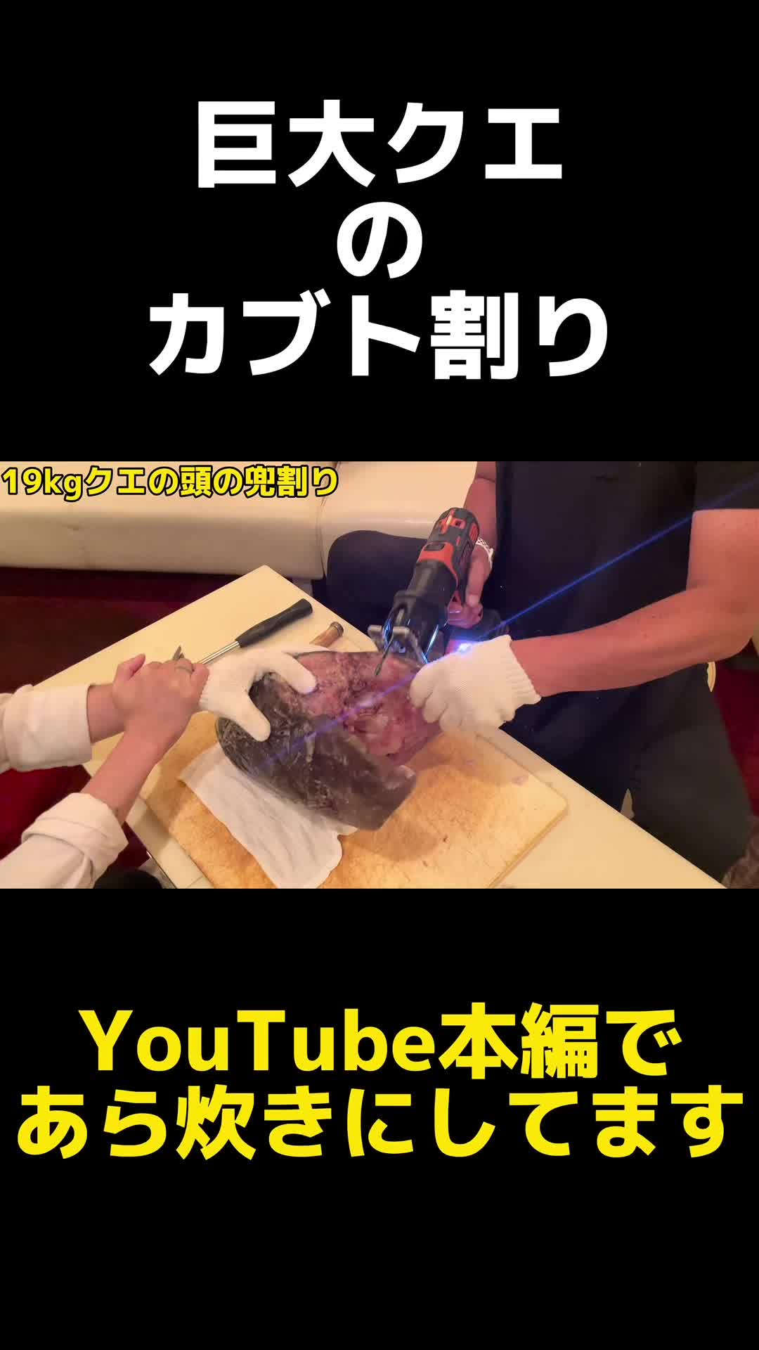 @俺たまご。