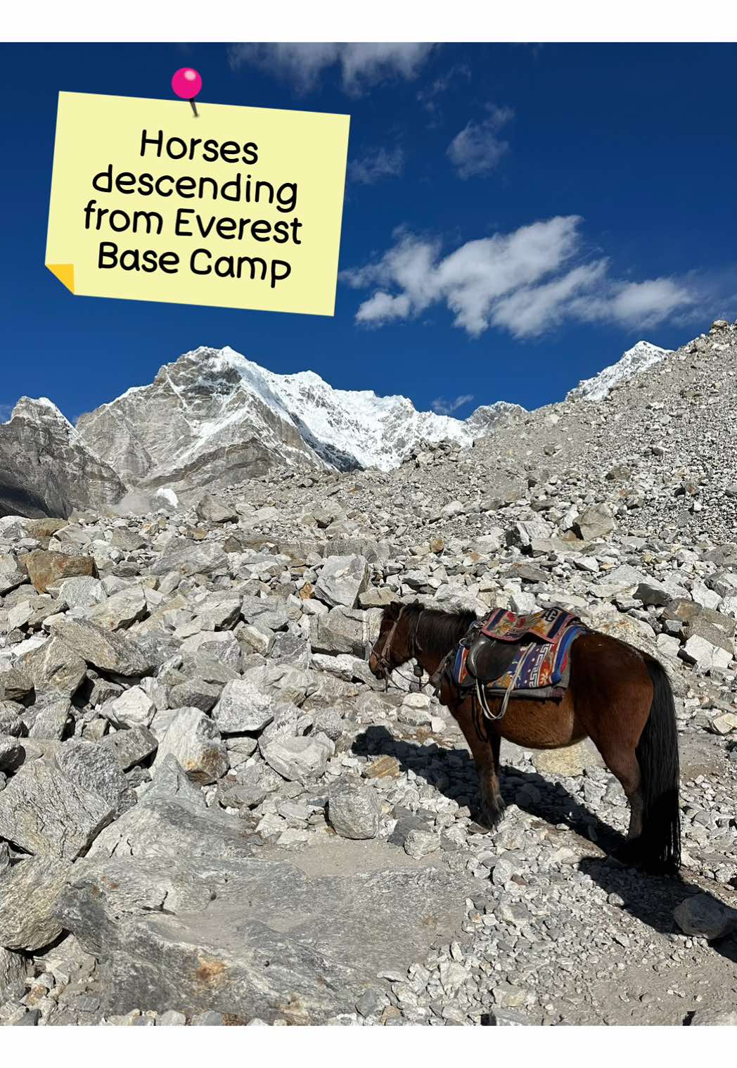 @Bella to 8000m 🏔️