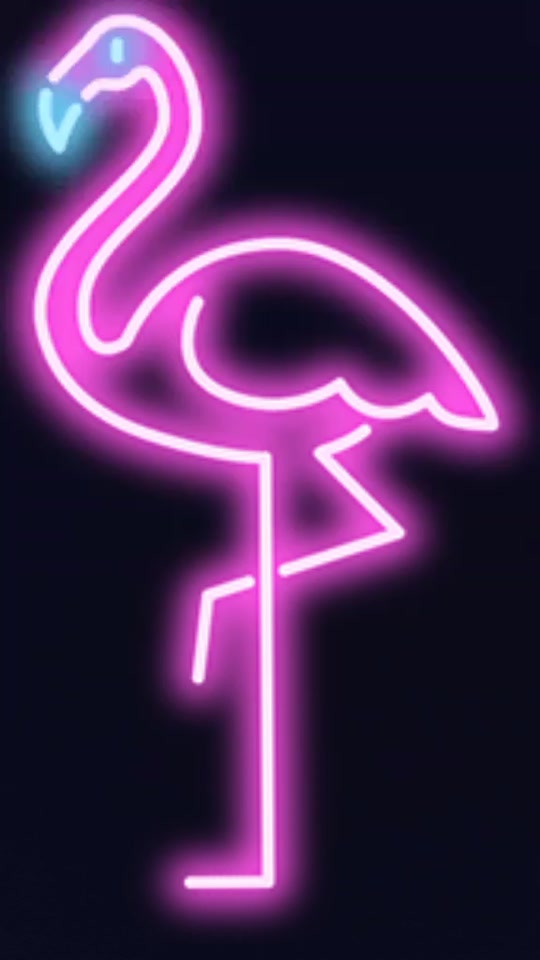 @pink poodle