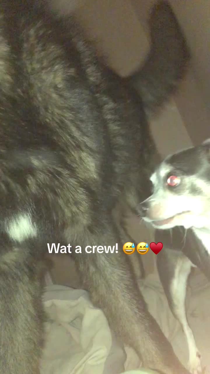 @mySRlife63