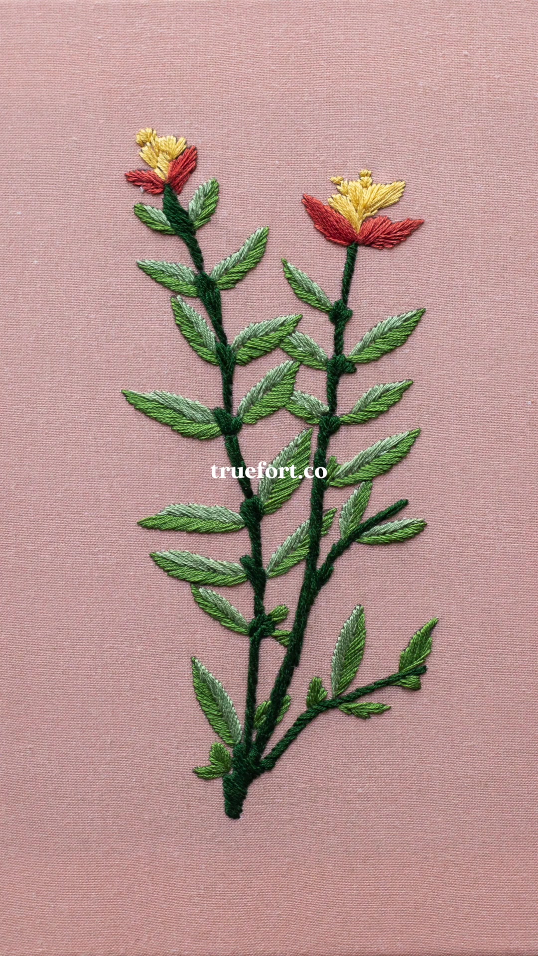 @truefort.co