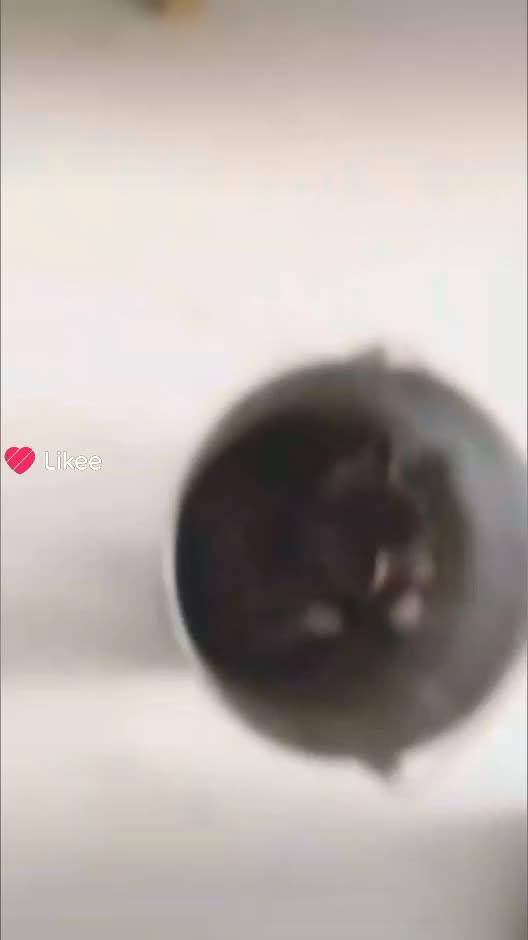 @лера😫🙏🙏💓