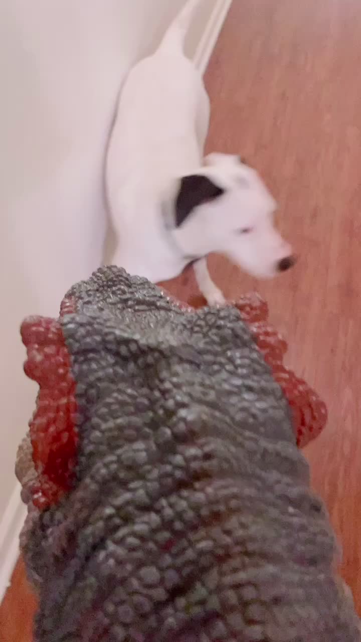 @T.Rex