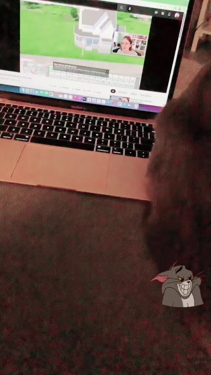 @Grayartcat