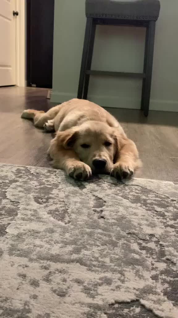 @George The Golden
