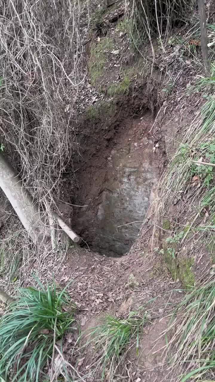 @逸明荒野探墓